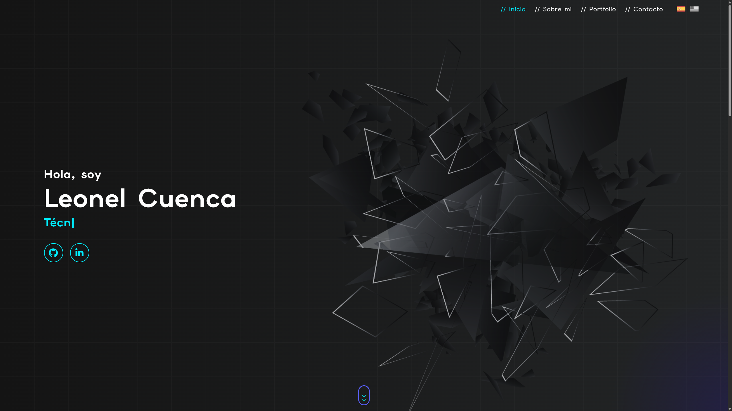 Portfolio Home